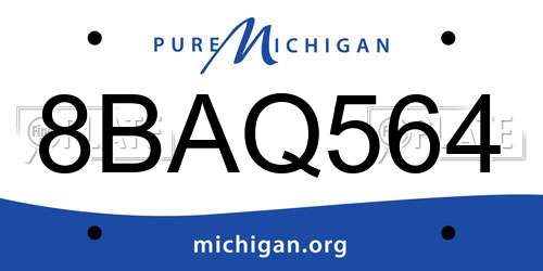 8BAQ564 Michigan License Plate