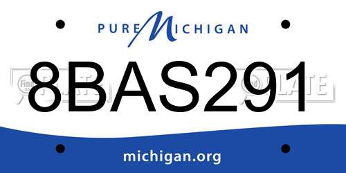 8BAS291 Michigan License Plate
