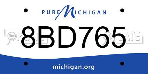 8BD765 Michigan License Plate