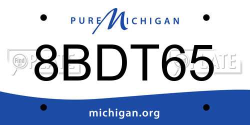 8BDT65 Michigan License Plate
