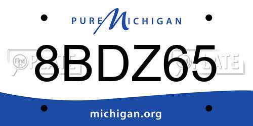 8BDZ65 Michigan License Plate