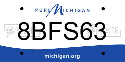 8BFS63 Michigan License Plate
