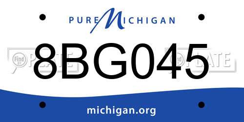 8BG045 Michigan License Plate