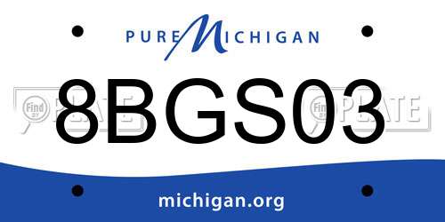 8BGS03 Michigan License Plate