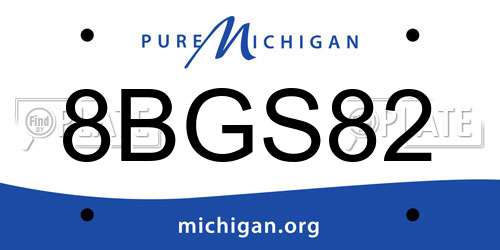 8BGS82 Michigan License Plate