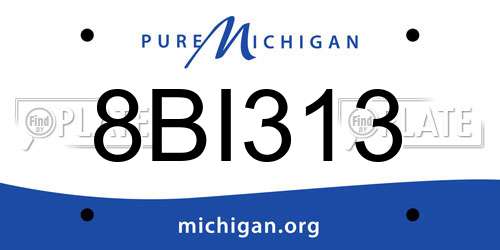 8BI313 Michigan License Plate