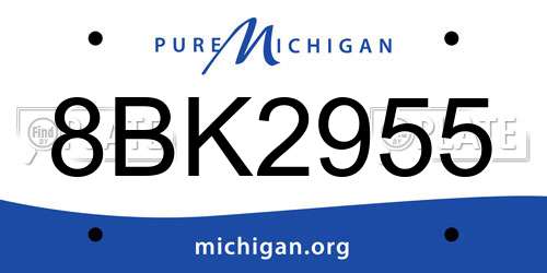 8BK2955 Michigan License Plate