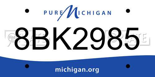 8BK2985 Michigan License Plate