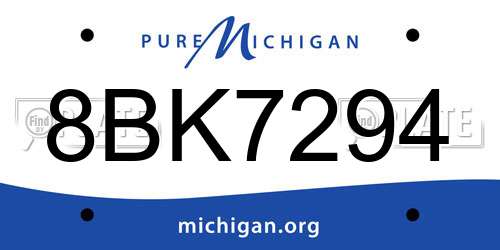 8BK7294 Michigan License Plate