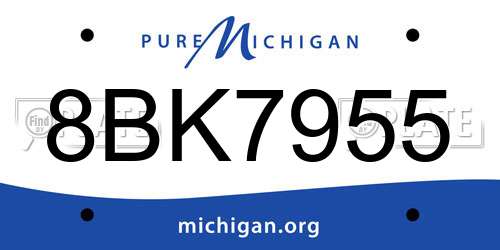 8BK7955 Michigan License Plate