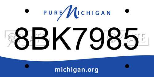 8BK7985 Michigan License Plate