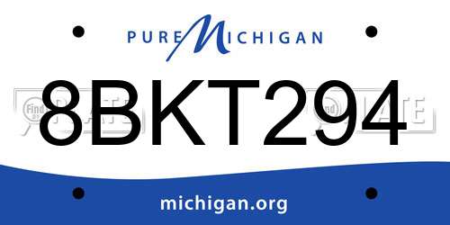 8BKT294 Michigan License Plate