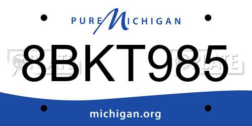 8BKT985 Michigan License Plate
