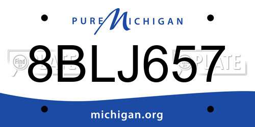 8BLJ657 Michigan License Plate