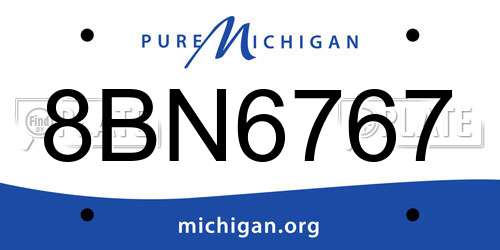 8BN6767 Michigan License Plate