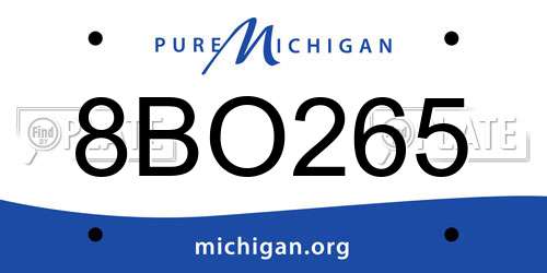 8BO265 Michigan License Plate