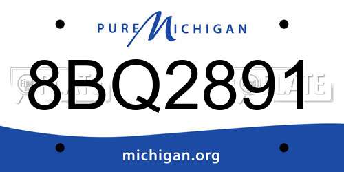 8BQ2891 Michigan License Plate