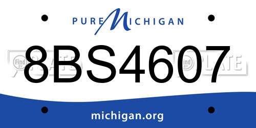 8BS4607 Michigan License Plate