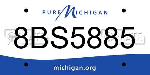 8BS5885 Michigan License Plate