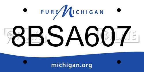8BSA607 Michigan License Plate
