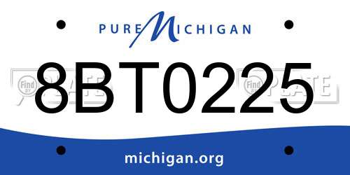 8BT0225 Michigan License Plate