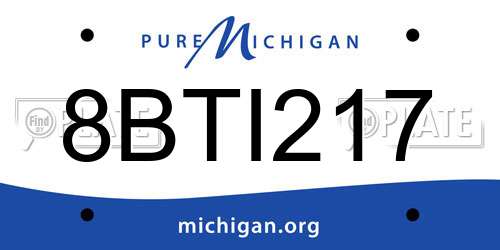 8BTI217 Michigan License Plate