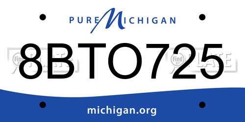 8BTO725 Michigan License Plate