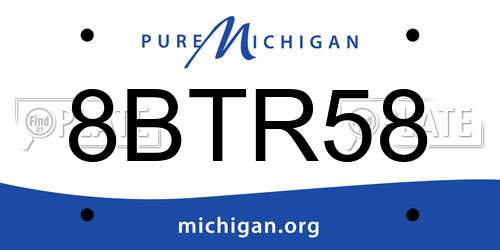 8BTR58 Michigan License Plate