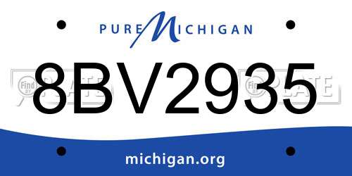8BV2935 Michigan License Plate