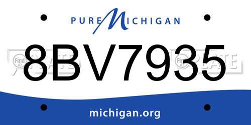 8BV7935 Michigan License Plate