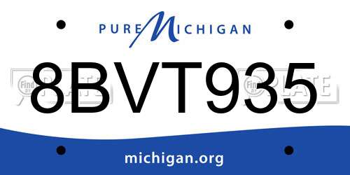 8BVT935 Michigan License Plate