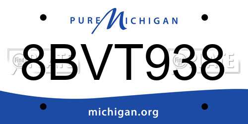 8BVT938 Michigan License Plate