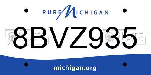 8BVZ935 Michigan License Plate