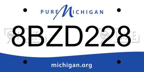 8BZD228 Michigan License Plate