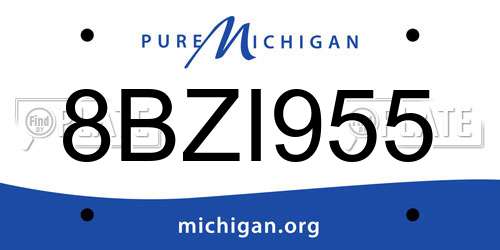 8BZI955 Michigan License Plate