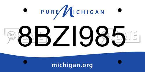 8BZI985 Michigan License Plate
