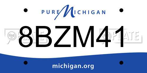 8BZM41 Michigan License Plate