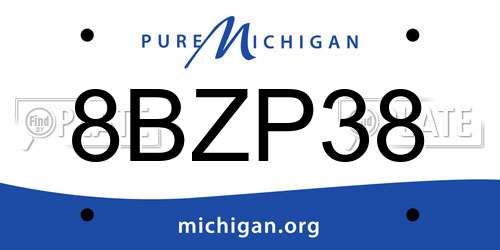 8BZP38 Michigan License Plate