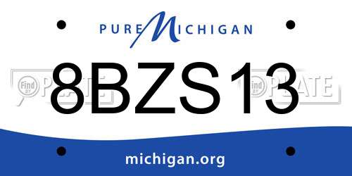 8BZS13 Michigan License Plate