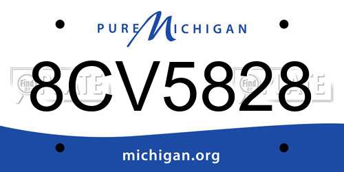8CV5828 Michigan License Plate