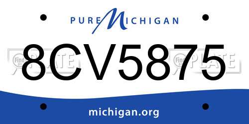 8CV5875 Michigan License Plate