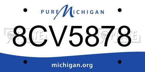 8CV5878 Michigan License Plate