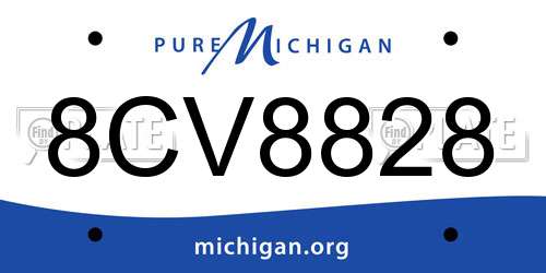 8CV8828 Michigan License Plate