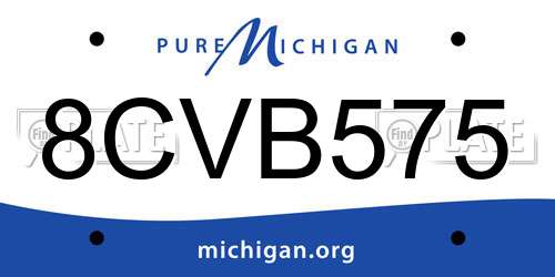 8CVB575 Michigan License Plate