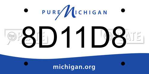 8D11D8 Michigan License Plate