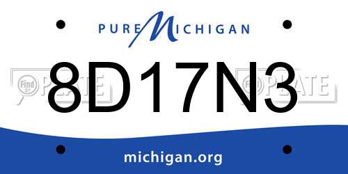 8D17N3 Michigan License Plate