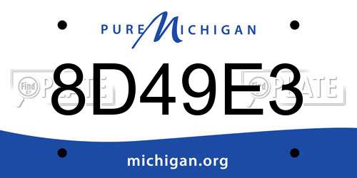 8D49E3 Michigan License Plate