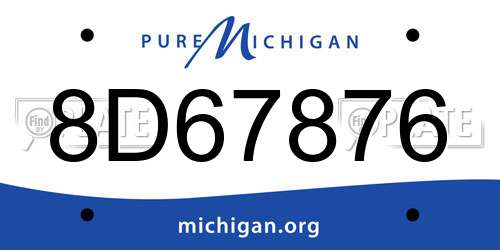 8D67876 Michigan License Plate