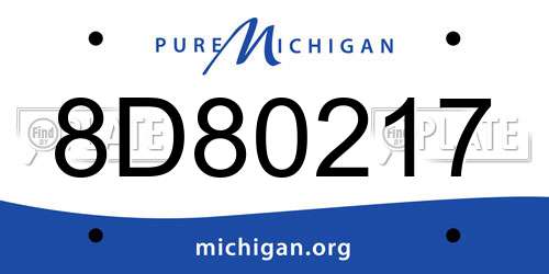8D80217 Michigan License Plate