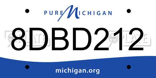 8DBD212 Michigan License Plate